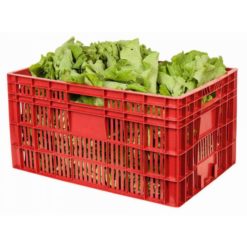 Caixa Plástica Agrícola Vazada 6431